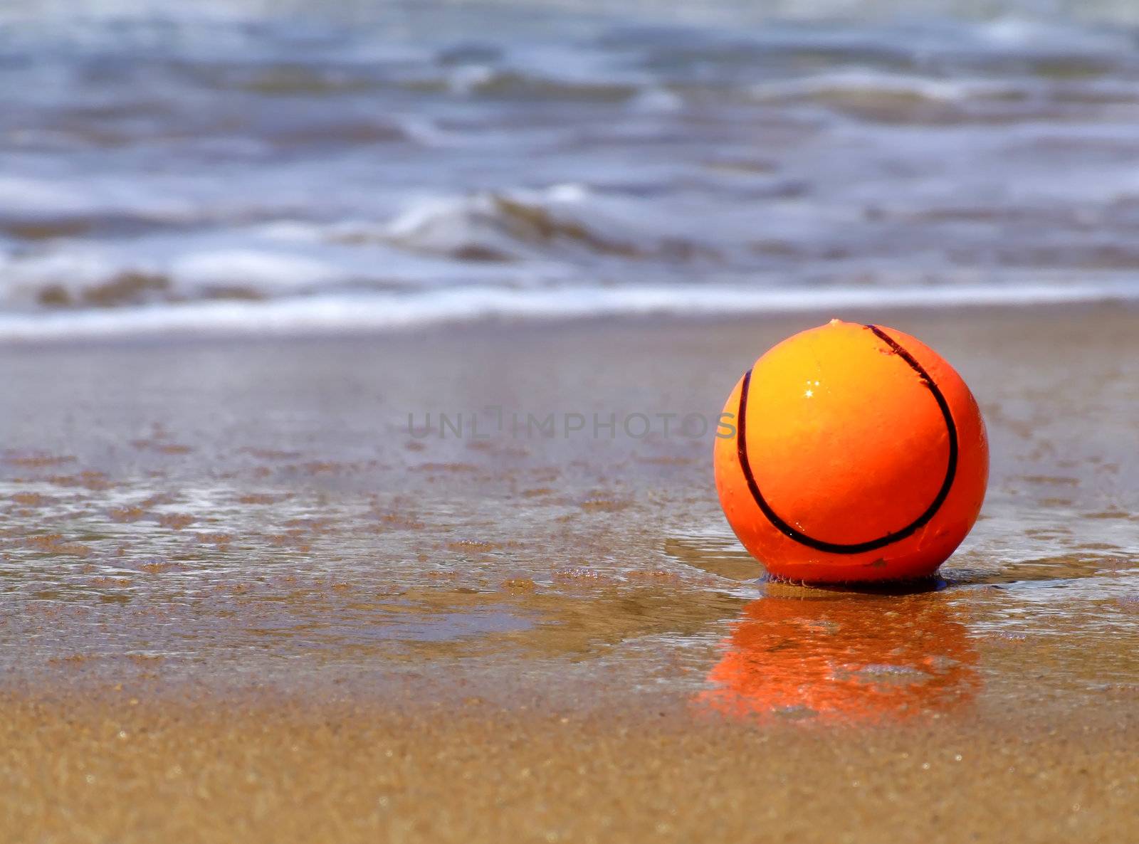A dog's toy ball lying by the surf ona beach