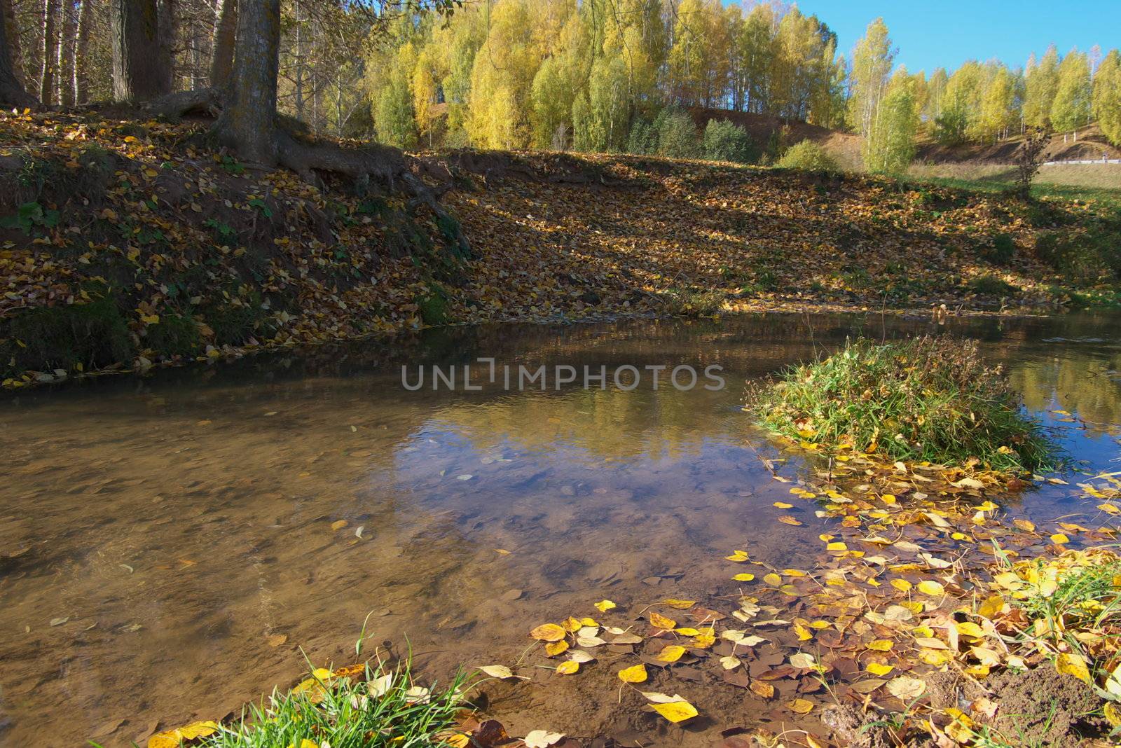 photo of the beautiful autumn landscape with river