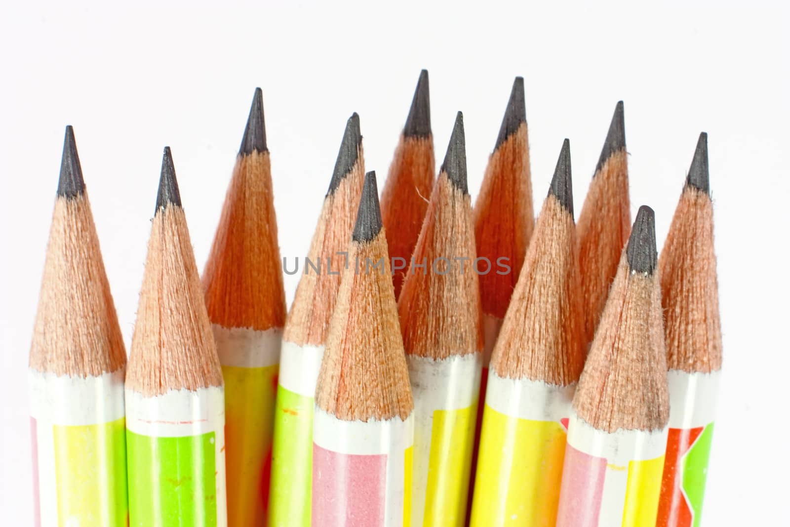 Many lead pencils ready for writing isolated on white