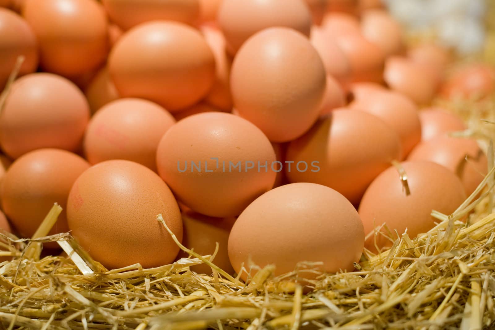 Eggs on straw on a market stall.