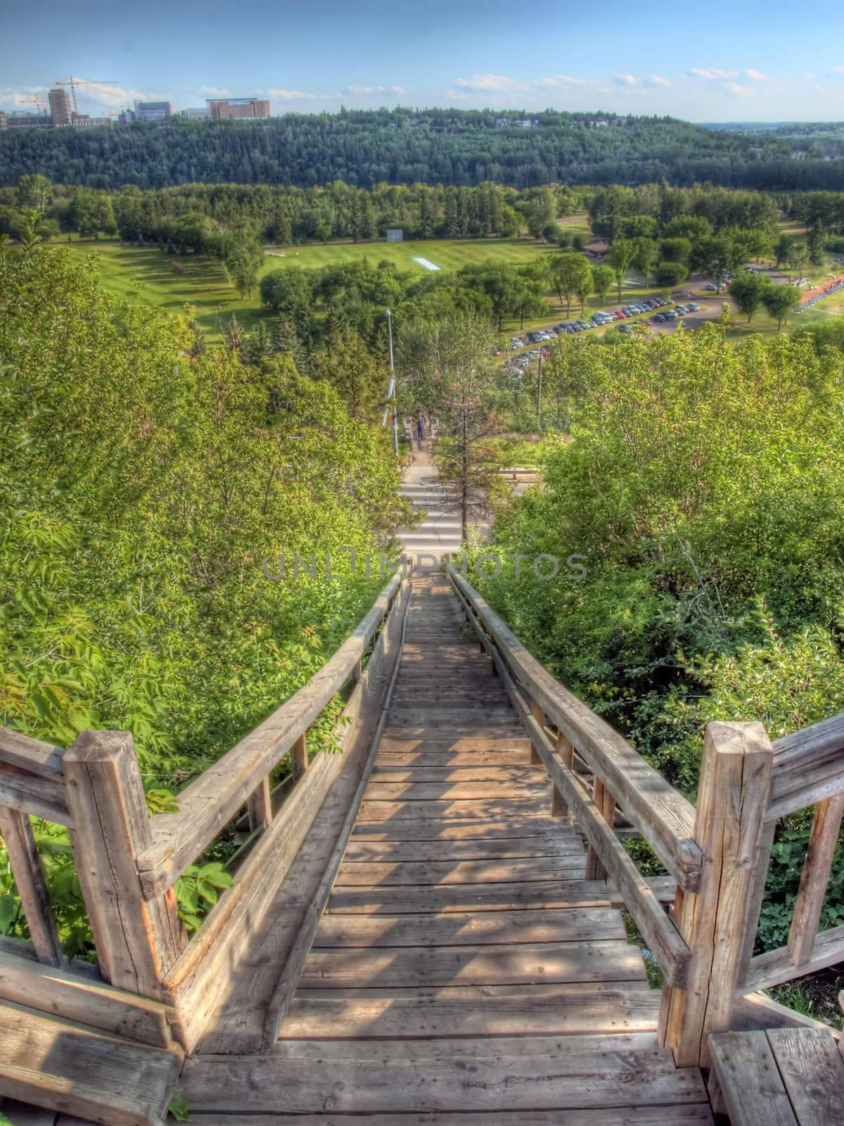 Wooden stairs leading to the river valley golf course.