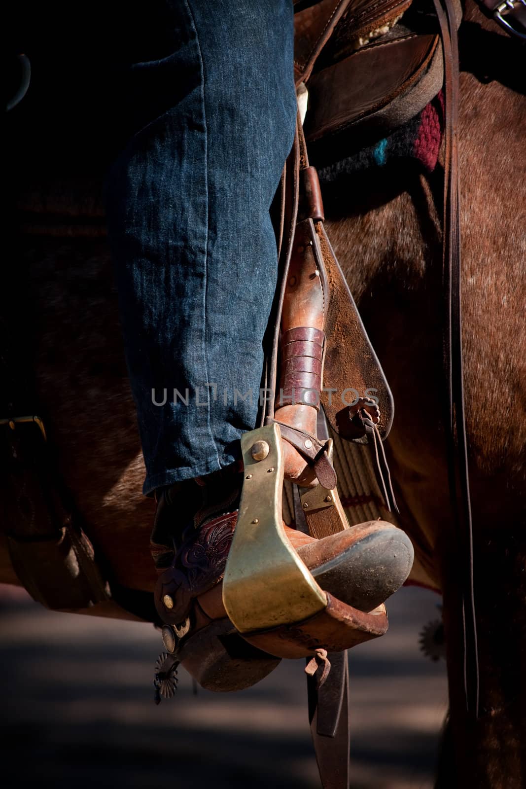 Cowboy leg and foot in stirrup on horse