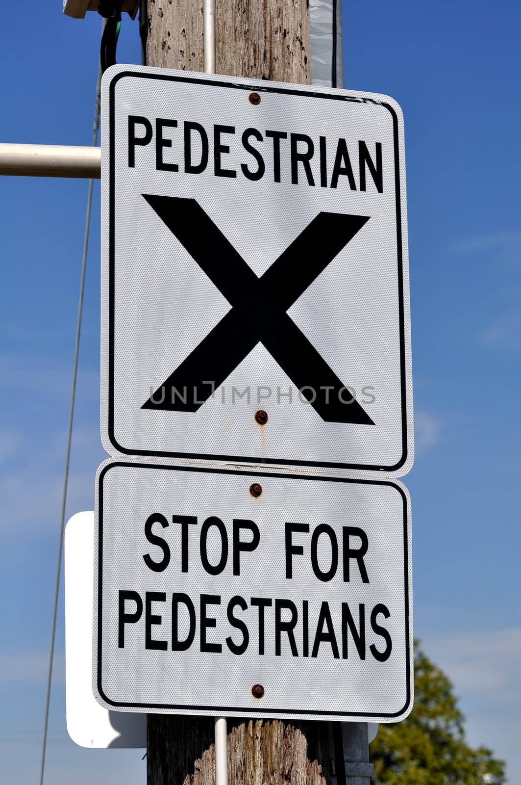 Traffic sign: give way to pedestrians. Cross here.