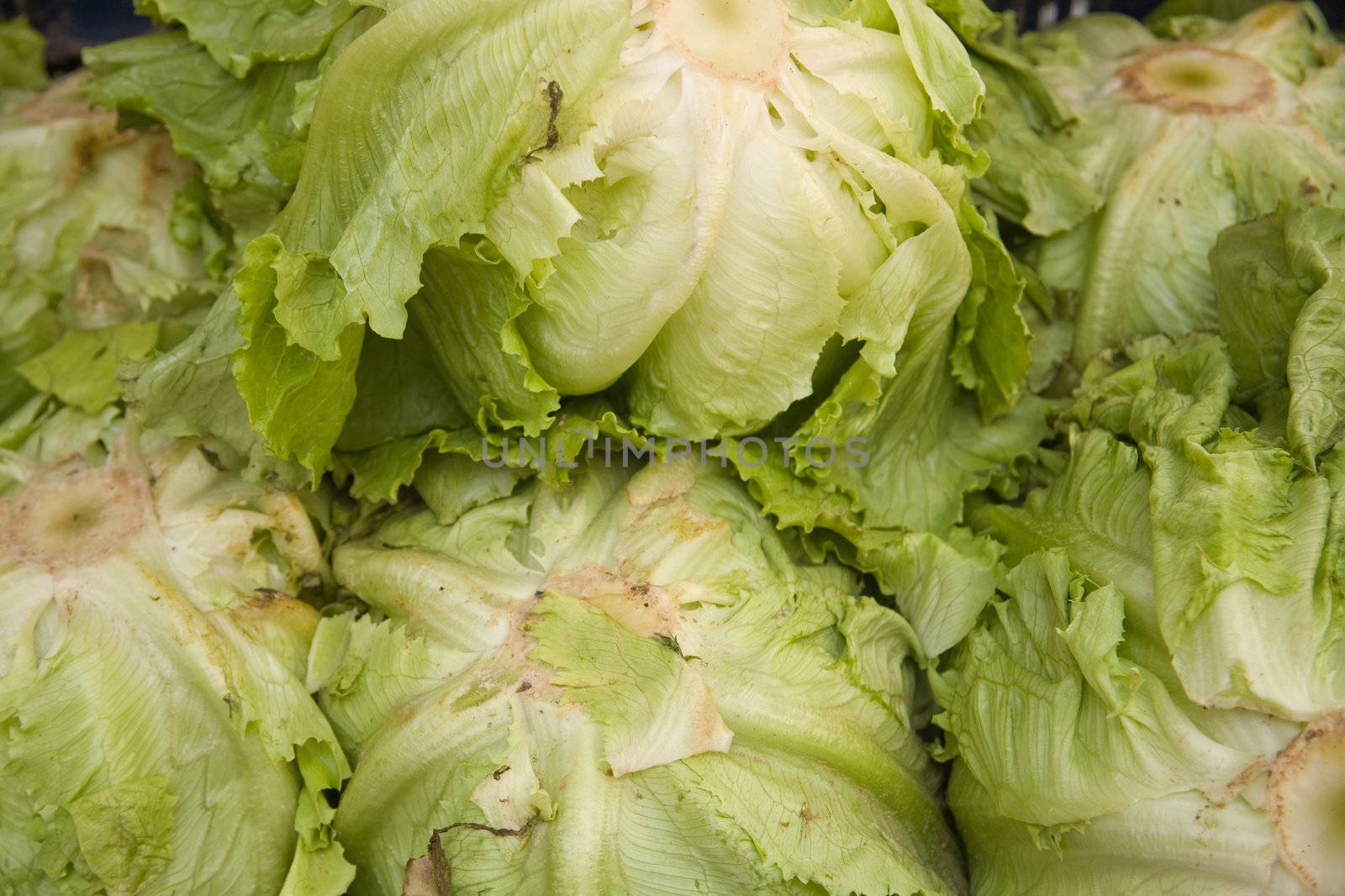 Fresh ice lettuces on a market stall.