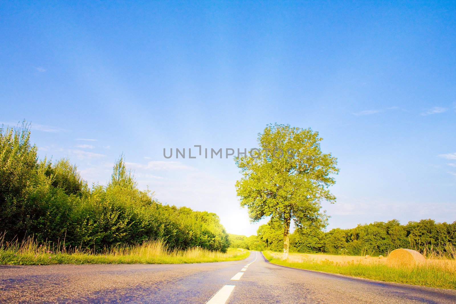 Highway in landscape