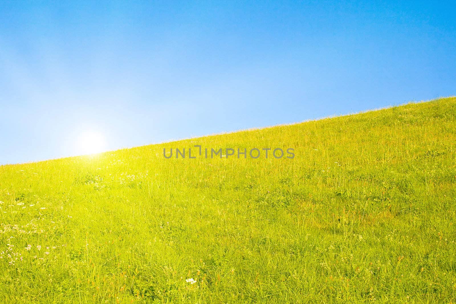 Idyllic lawn with sunlight by juweber