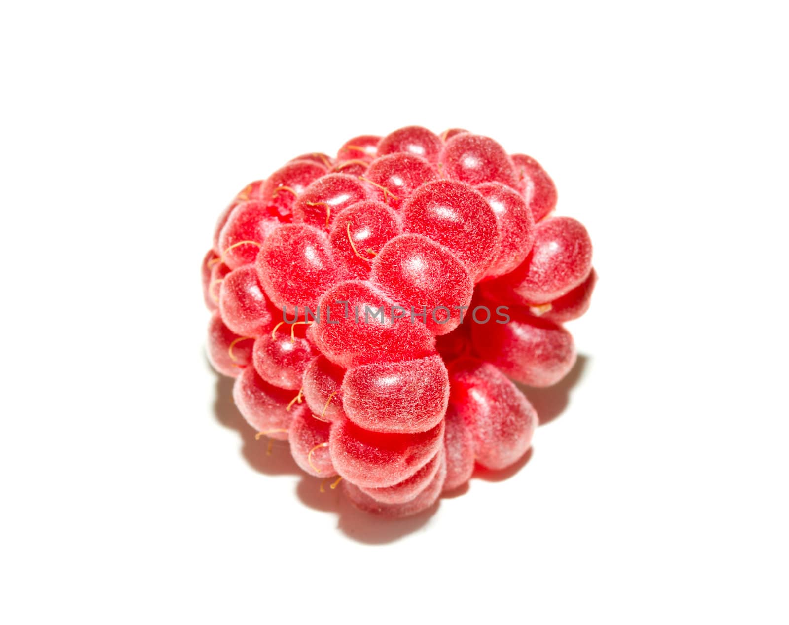 close-up single ripe raspberry, isolated on white