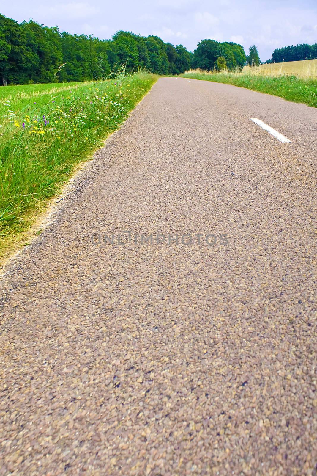 Highway in landscape