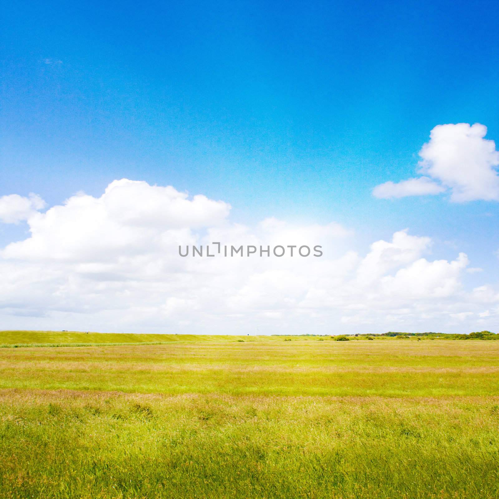 Idyllic lawn with sunlight in summer