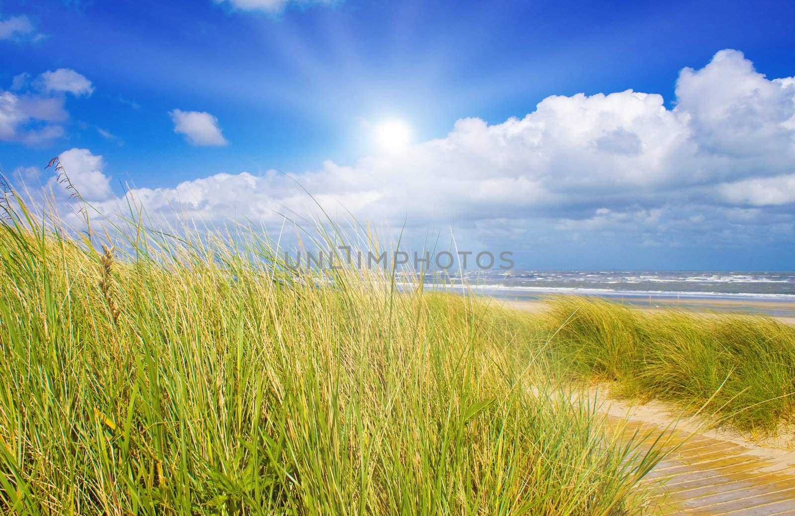 Beautiful day at the North Sea by juweber