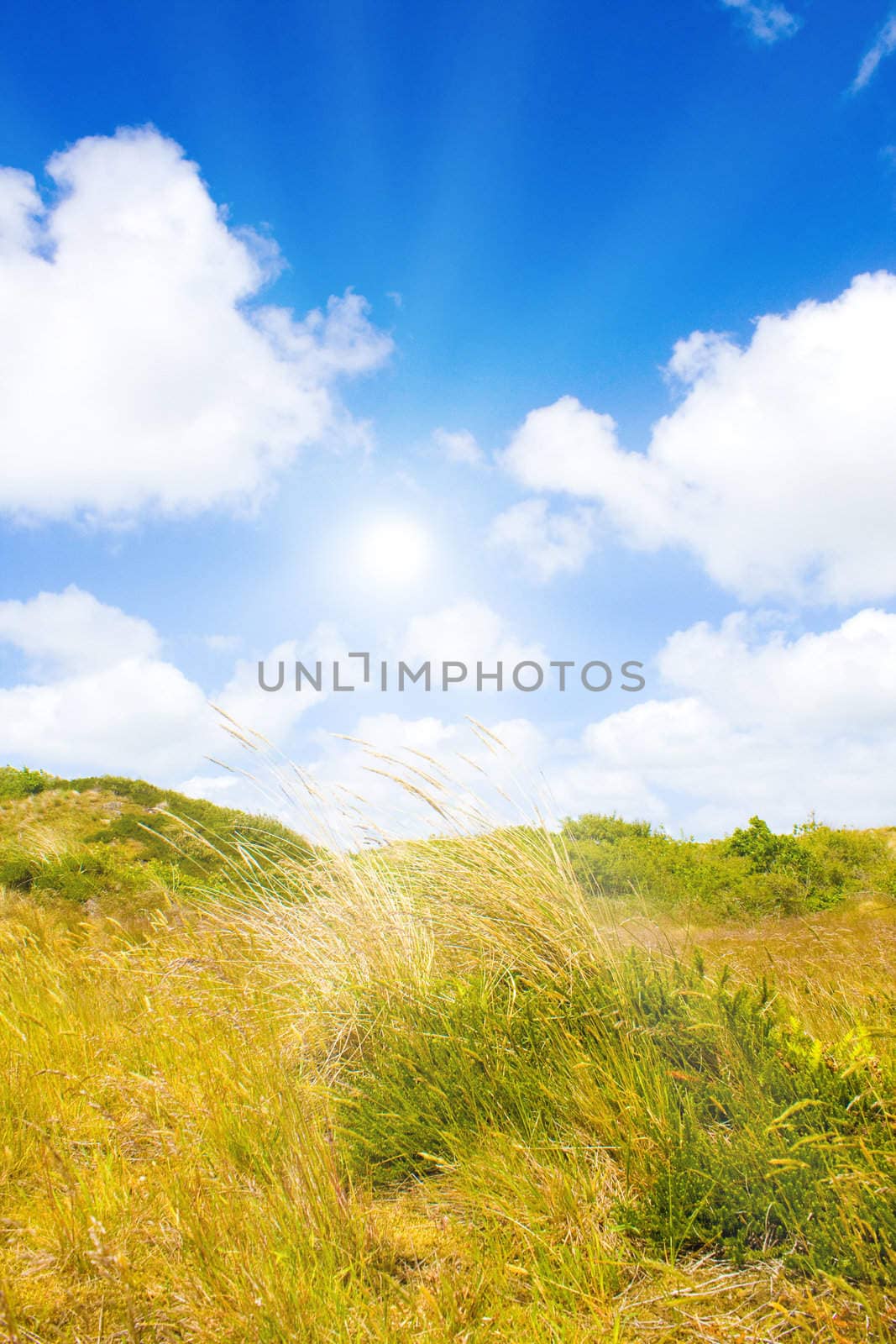 Idyllic dunes with sunlight by juweber