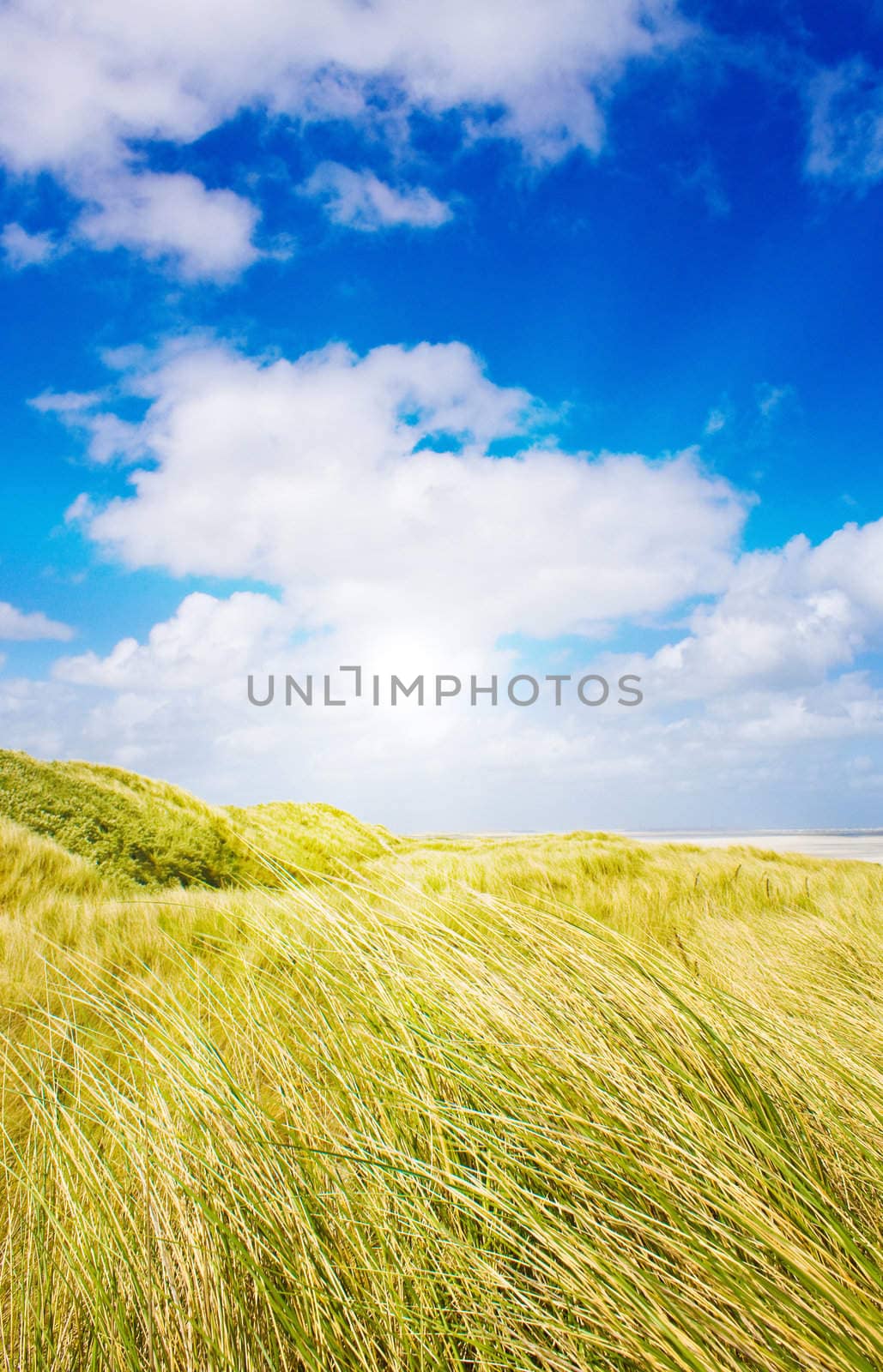 Idyllic dunes with sunlight