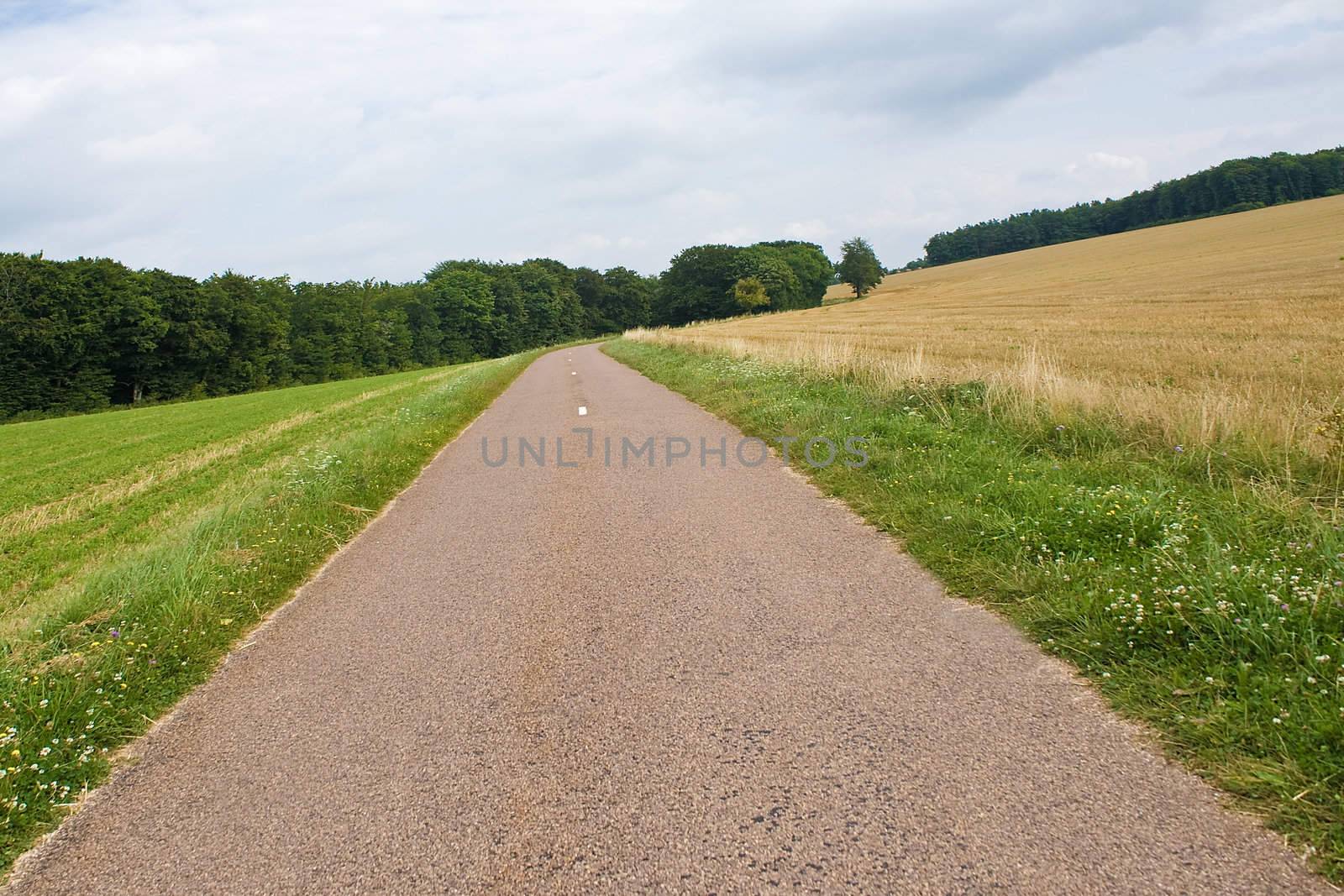 Highway in landscape