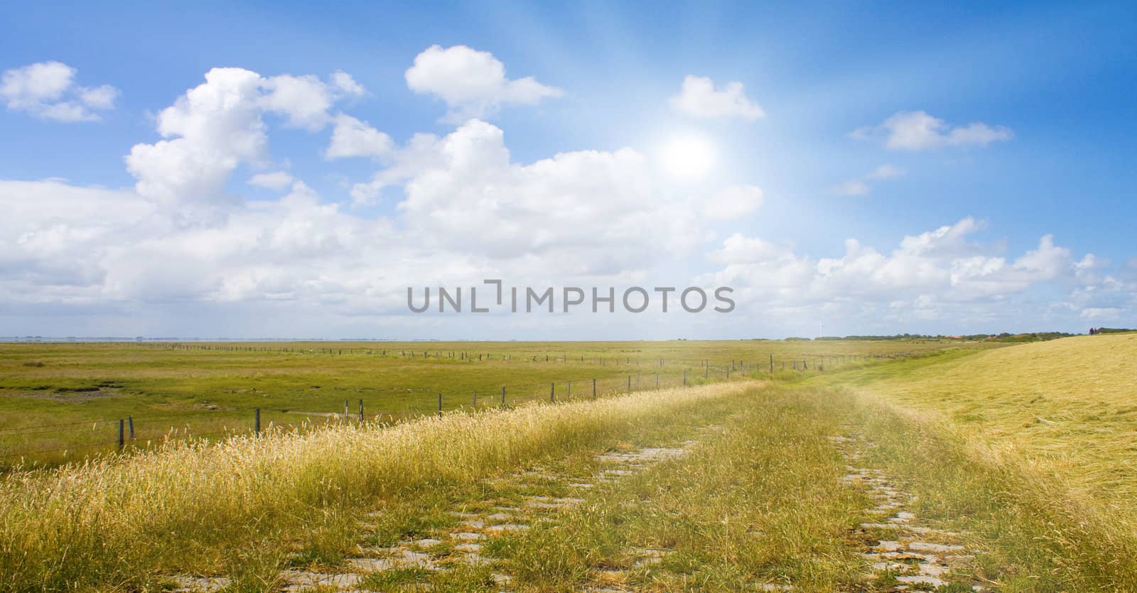 Idyllic lawn with sunlight by juweber