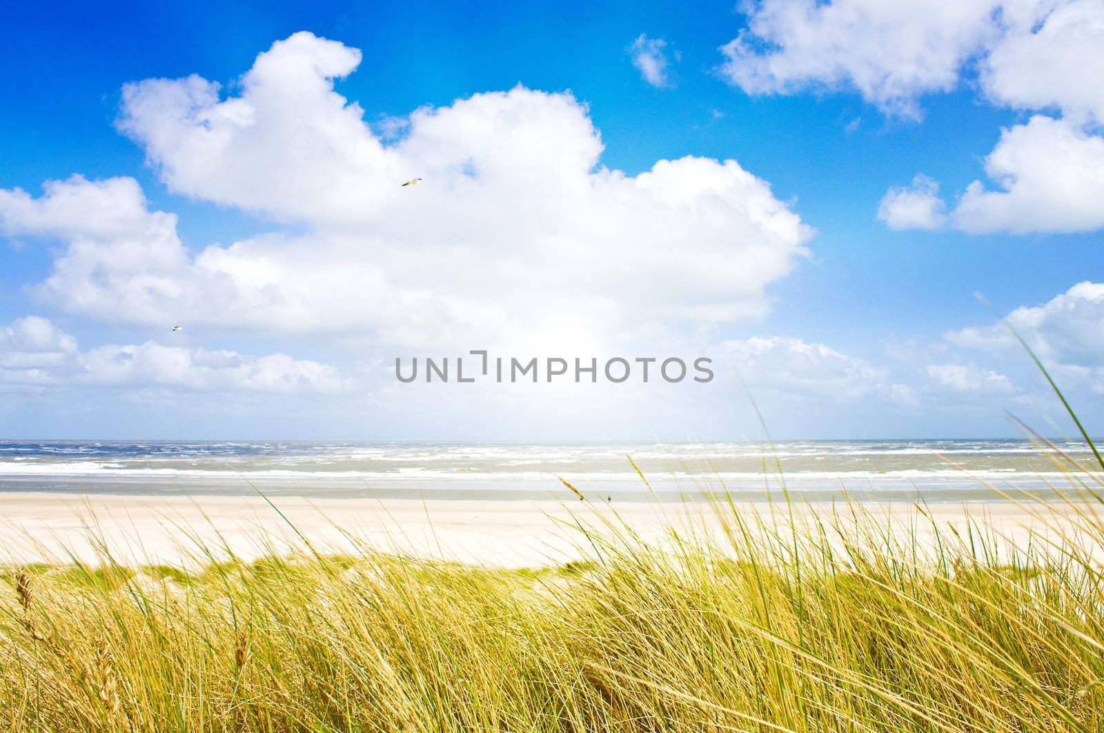 Beautiful day at the North Sea by juweber