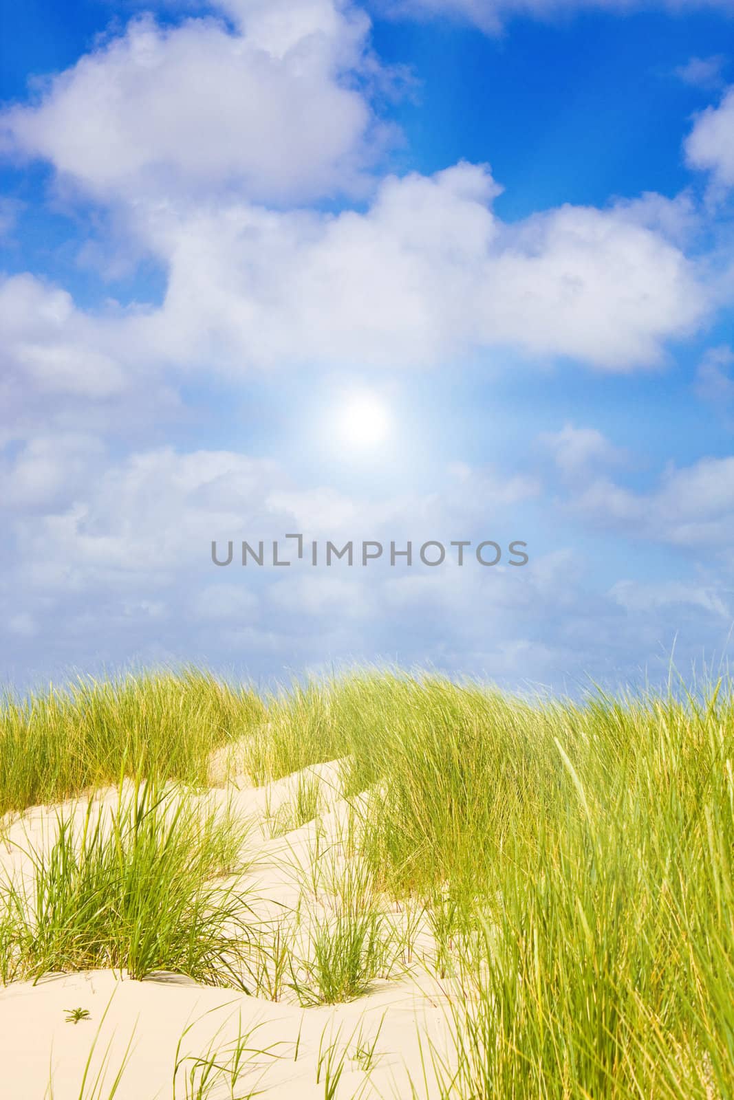 Idyllic dunes with sunlight by juweber