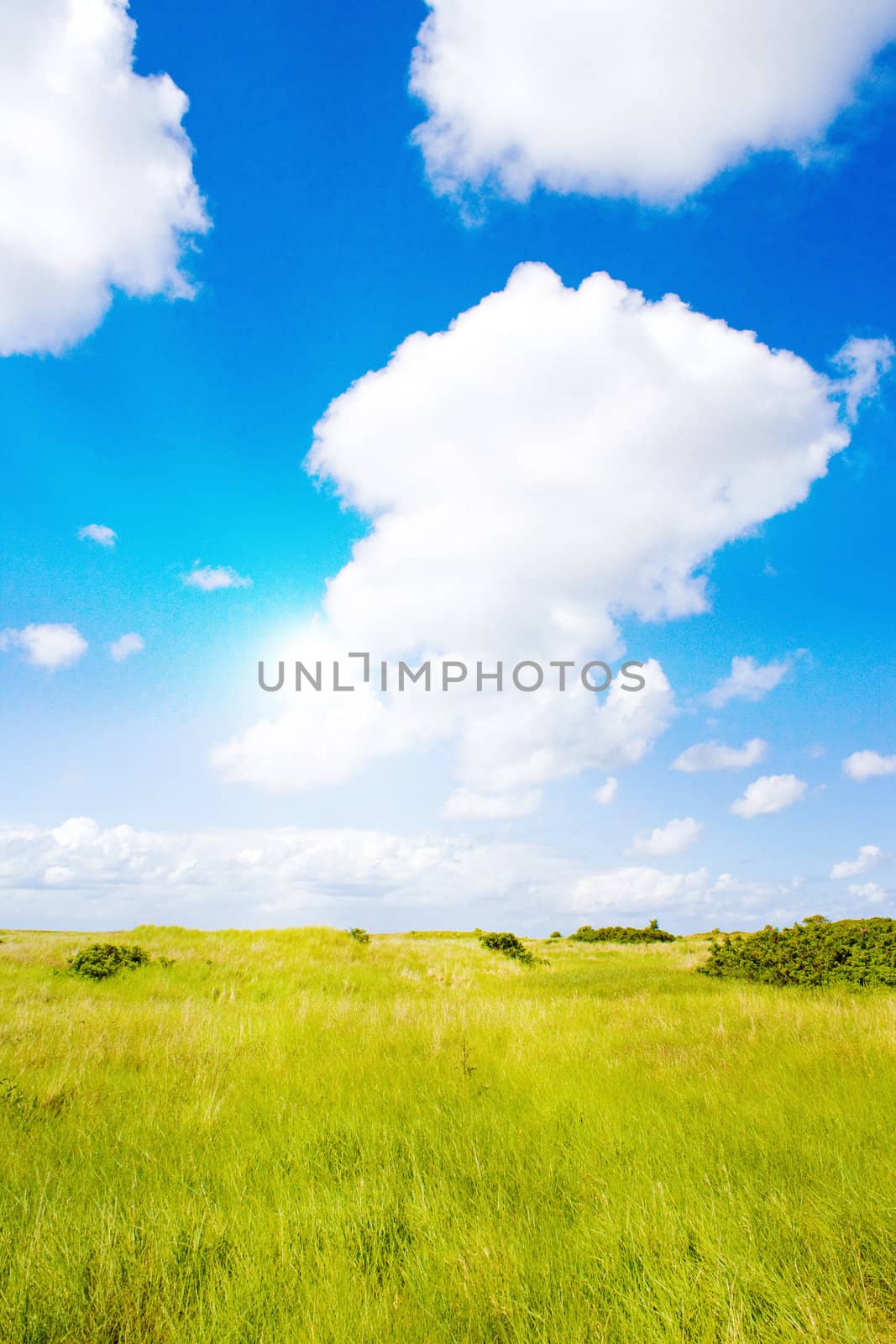 Idyllic lawn with sunlight by juweber