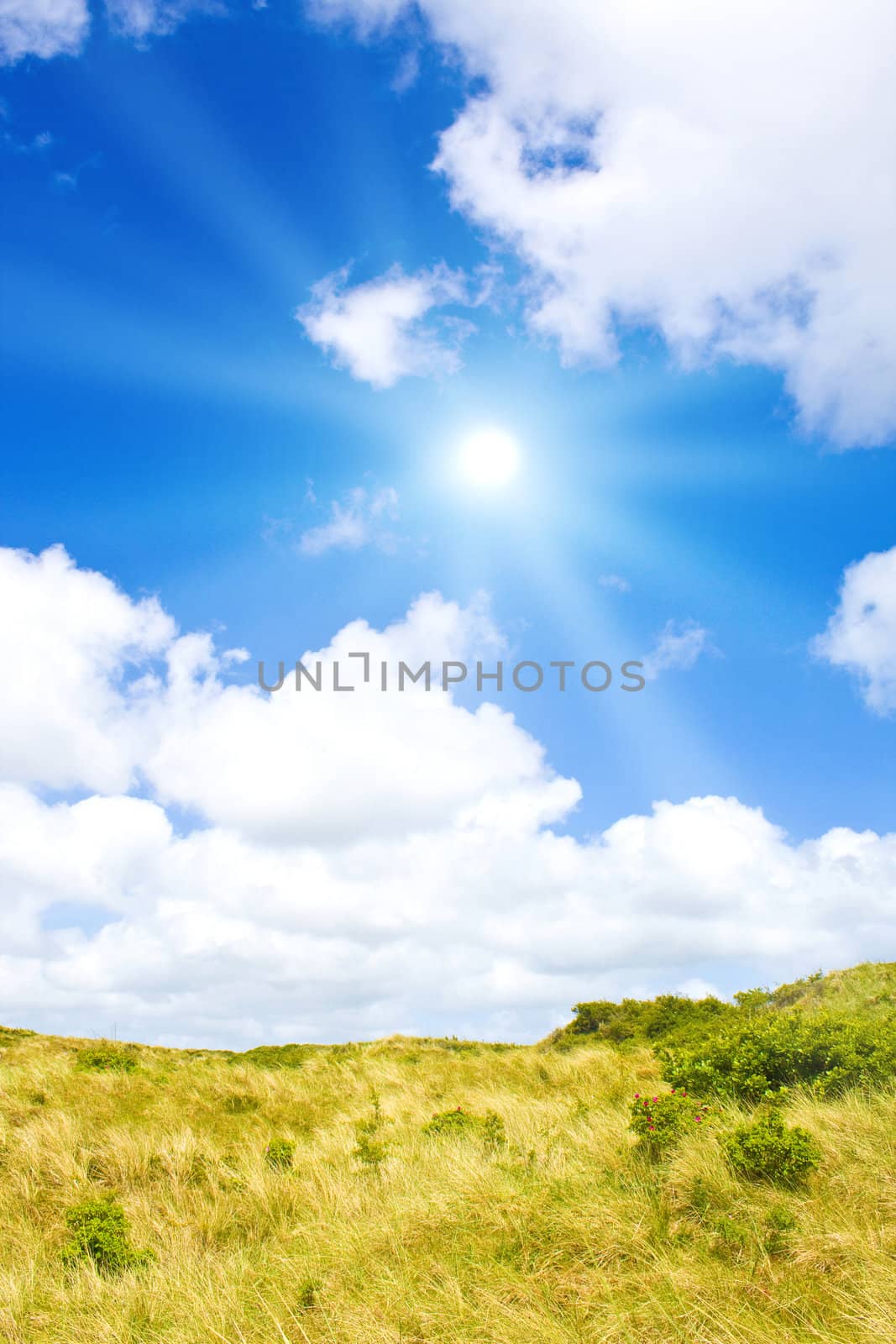 Idyllic dunes with sunlight by juweber