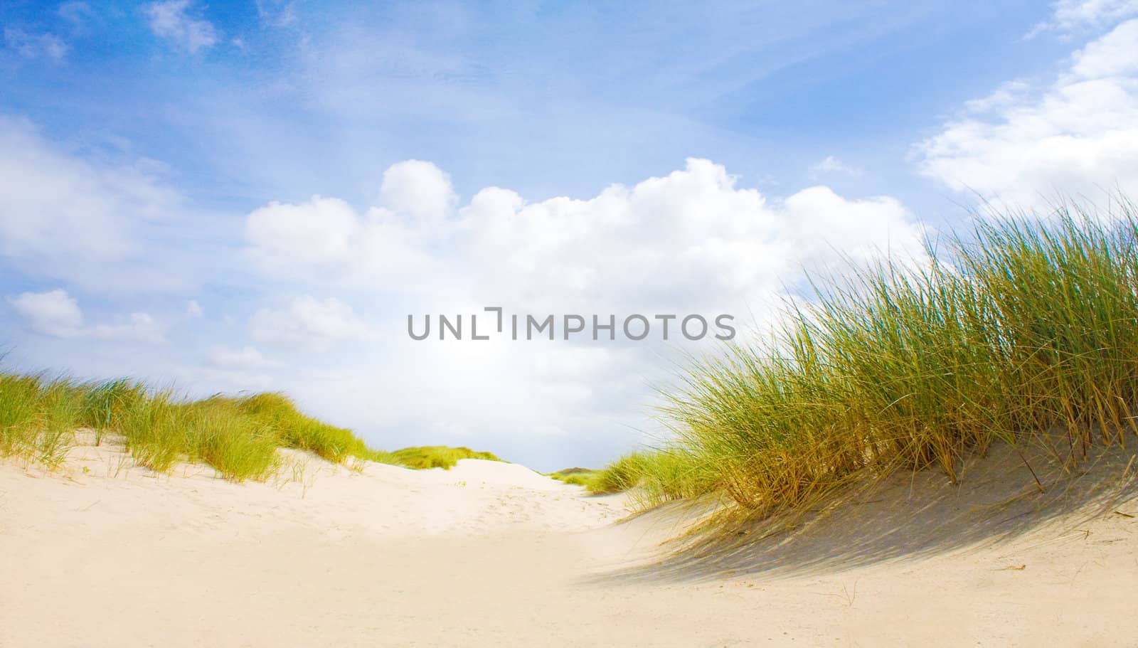 Idyllic dunes with sunlight