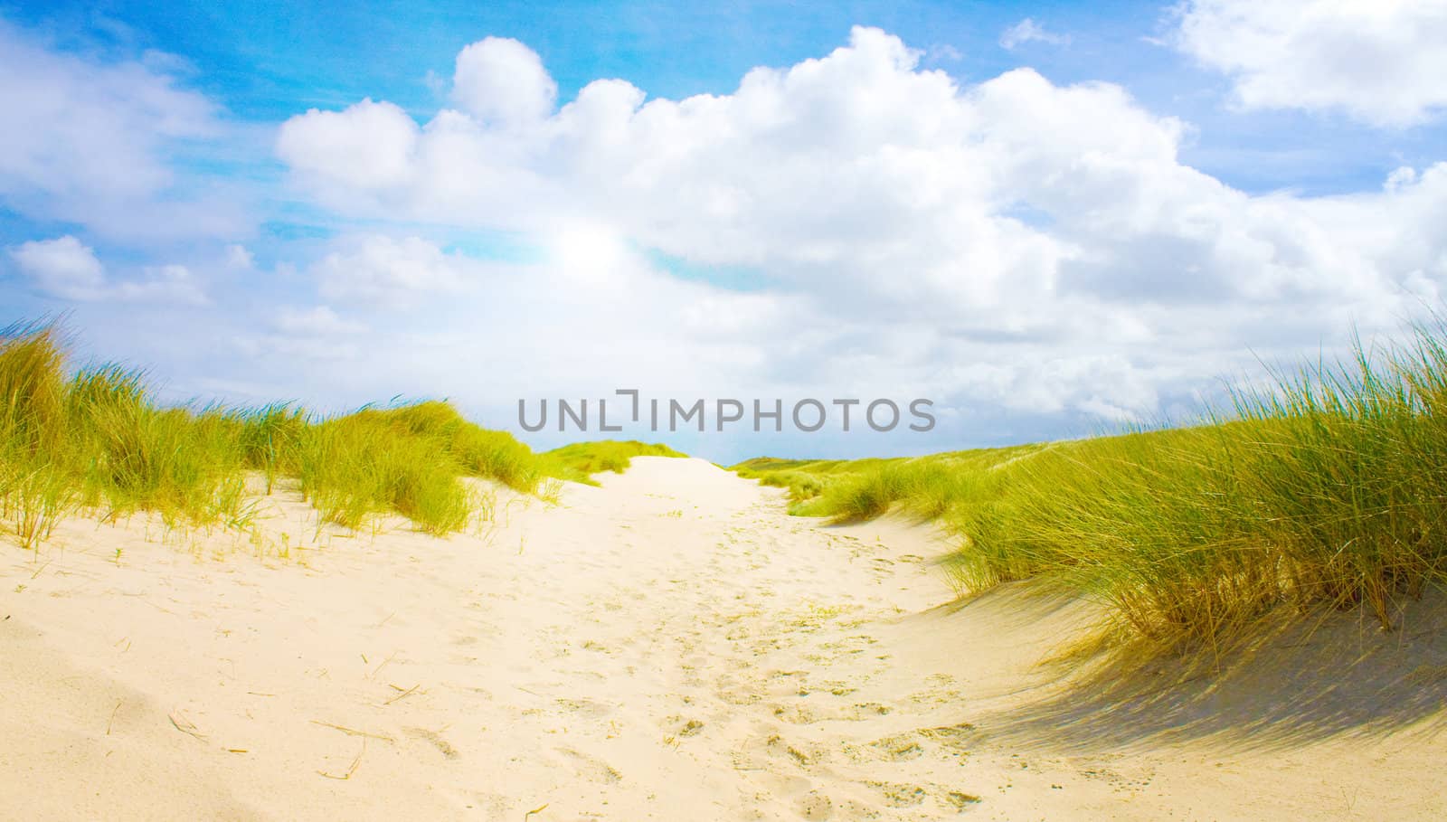 Idyllic dunes with sunlight by juweber