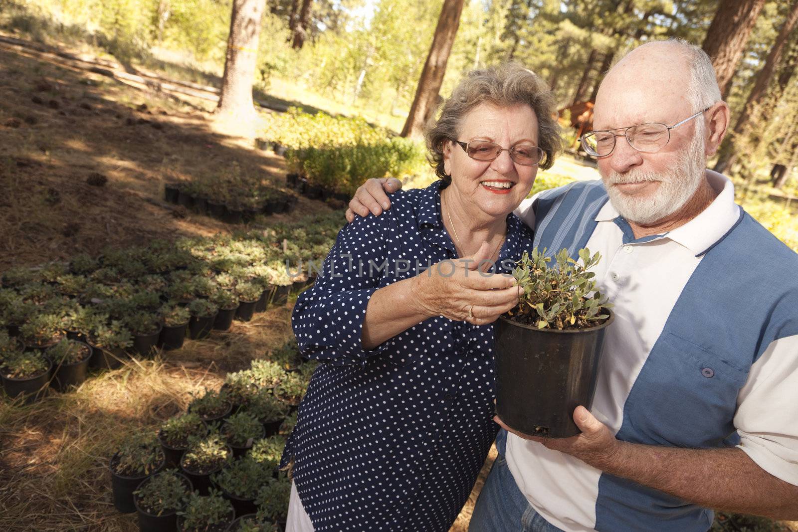 Attractive Senior Couple Overlooking Potted Plants by Feverpitched