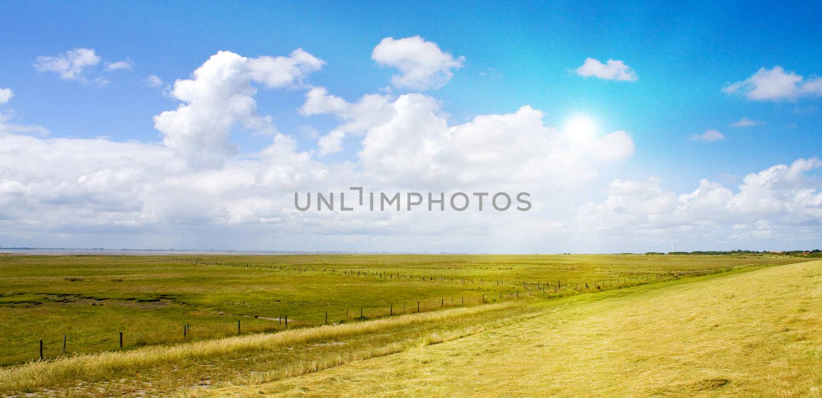 Idyllic lawn with sunlight