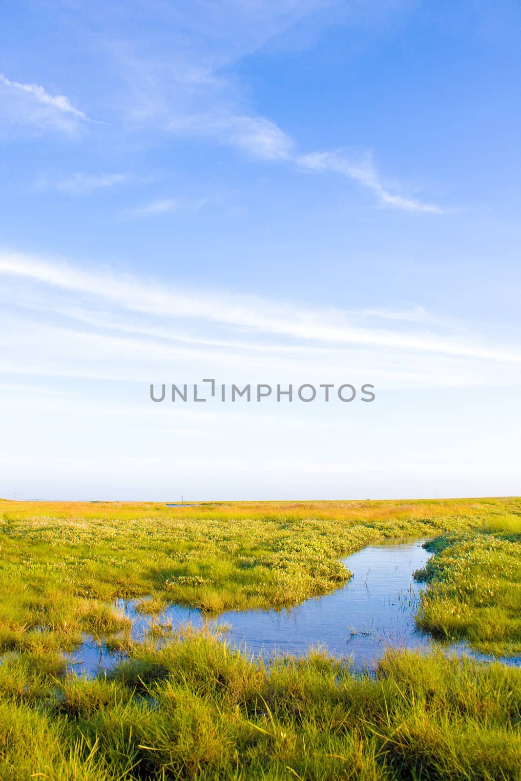 Idyllic lawn with Stream and sunlight by juweber