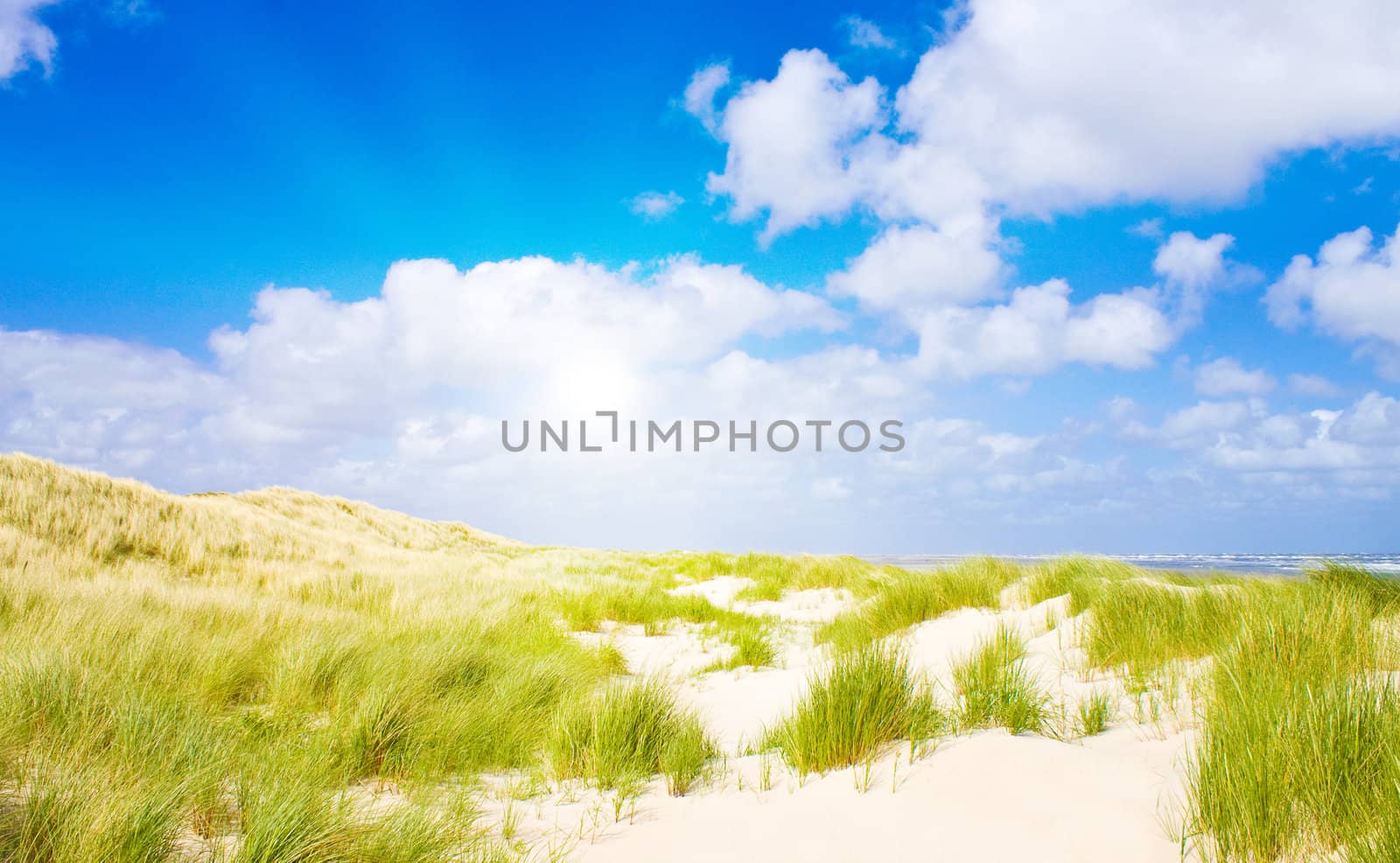 Beautiful day at the North Sea by juweber