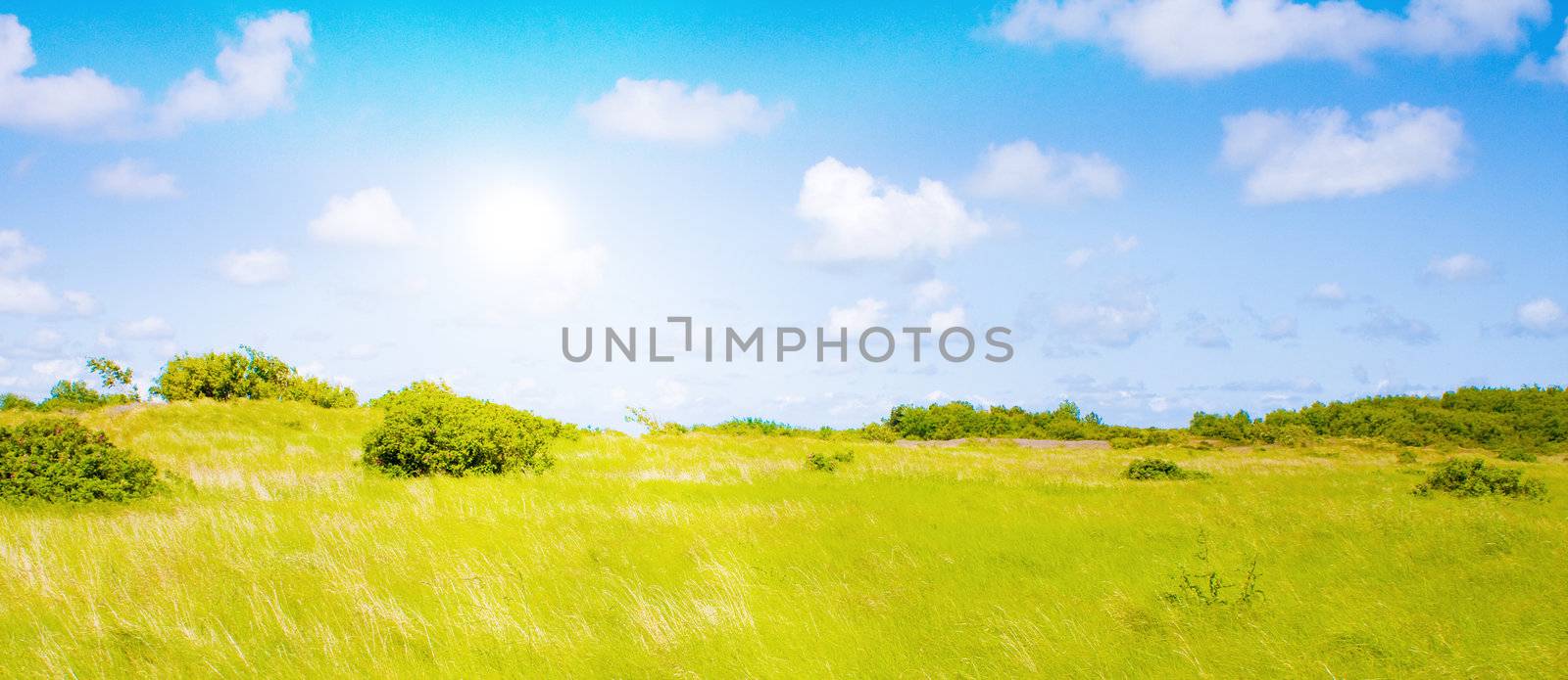 Idyllic lawn with sunlight by juweber