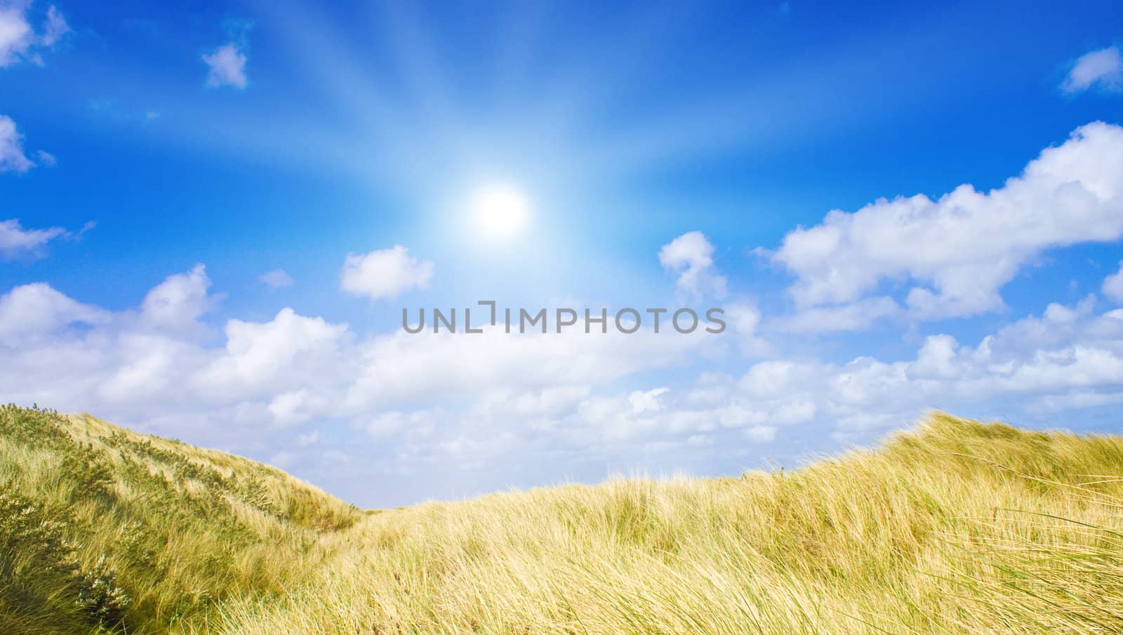 Idyllic dunes with sunlight