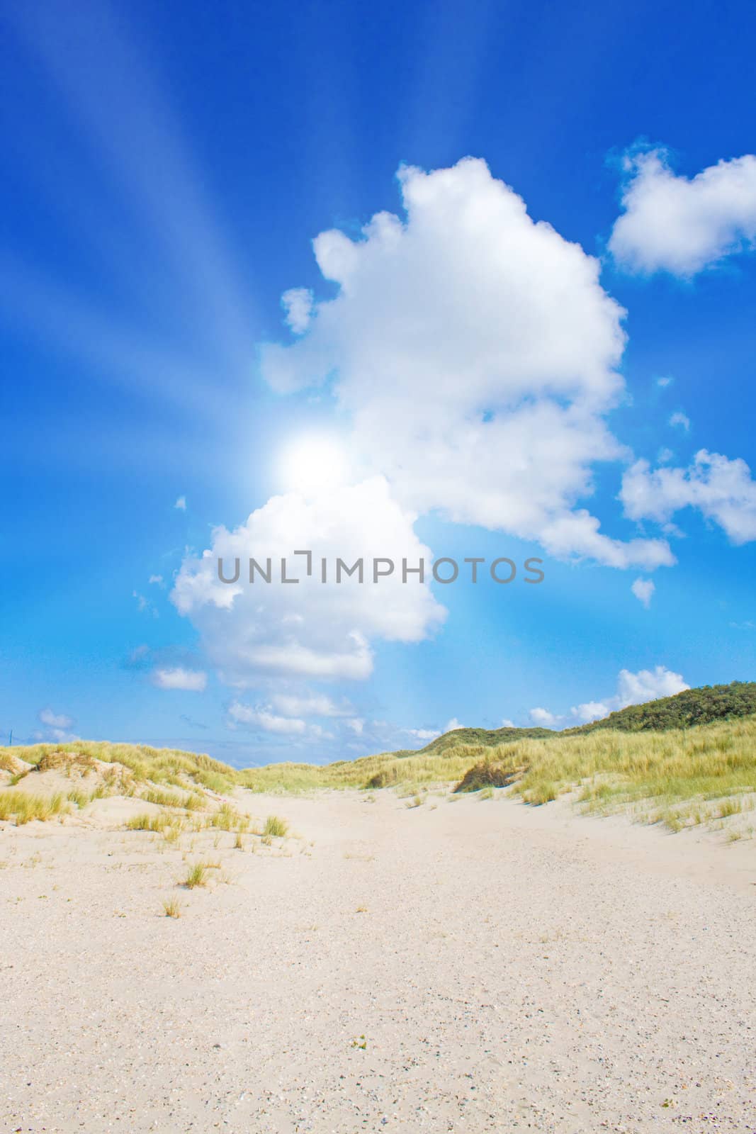 Beach and dunes with beautiful sunlight