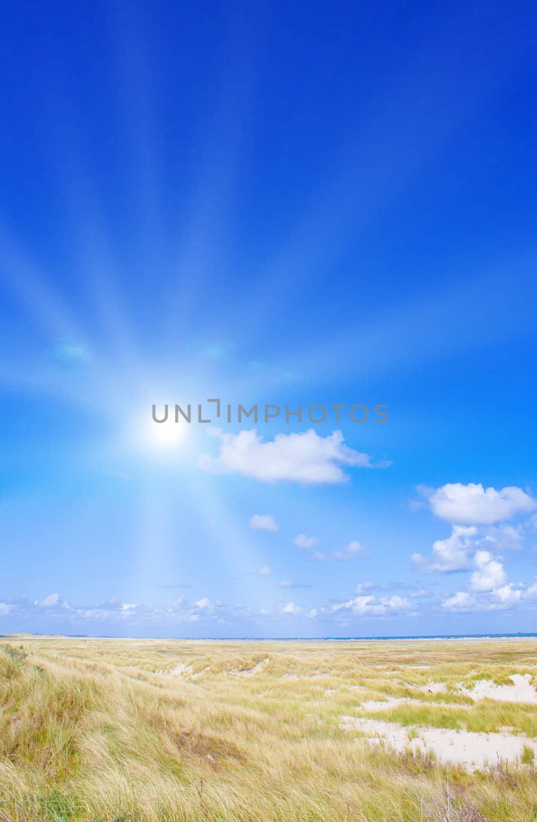 Idyllic dunes with sunlight by juweber