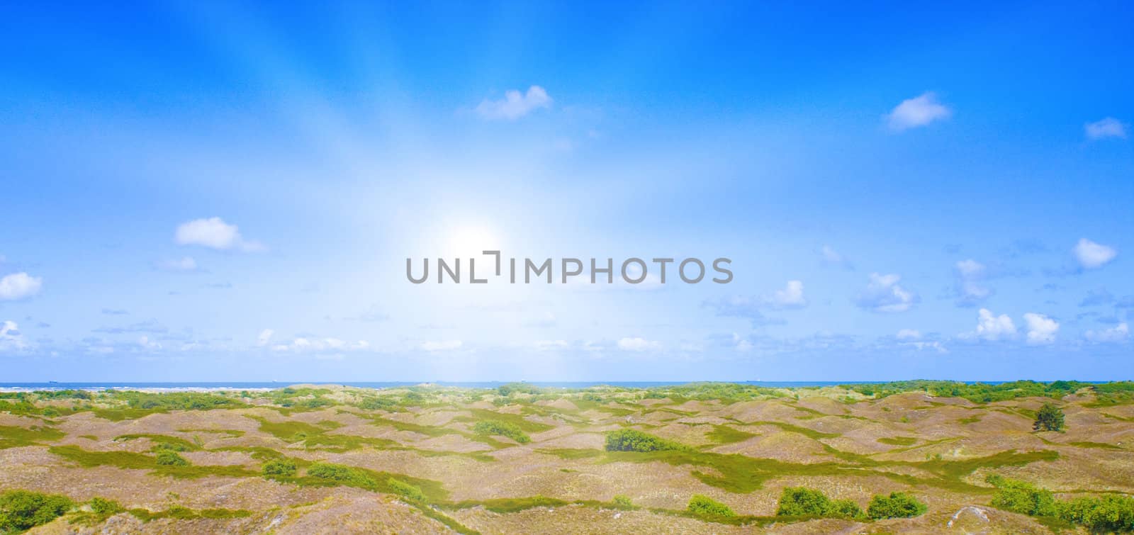 Idyllic dunes with sunlight by juweber