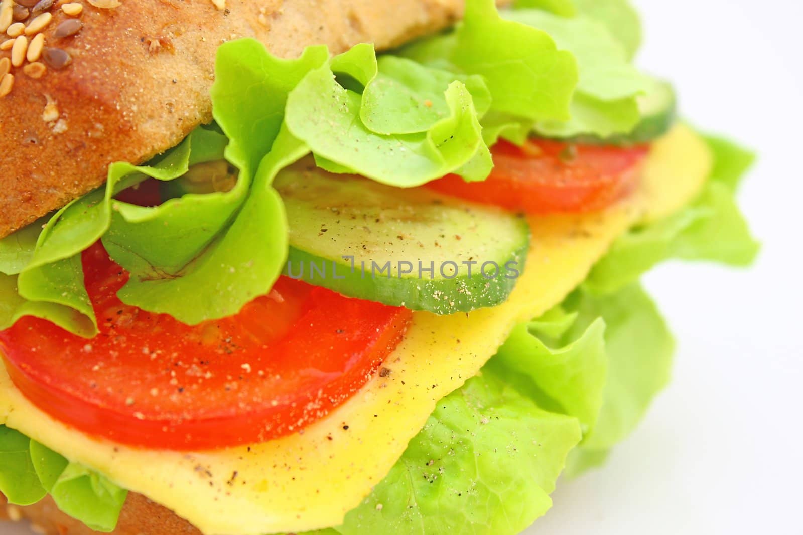 Fresh sandwich with cheese and vegetables