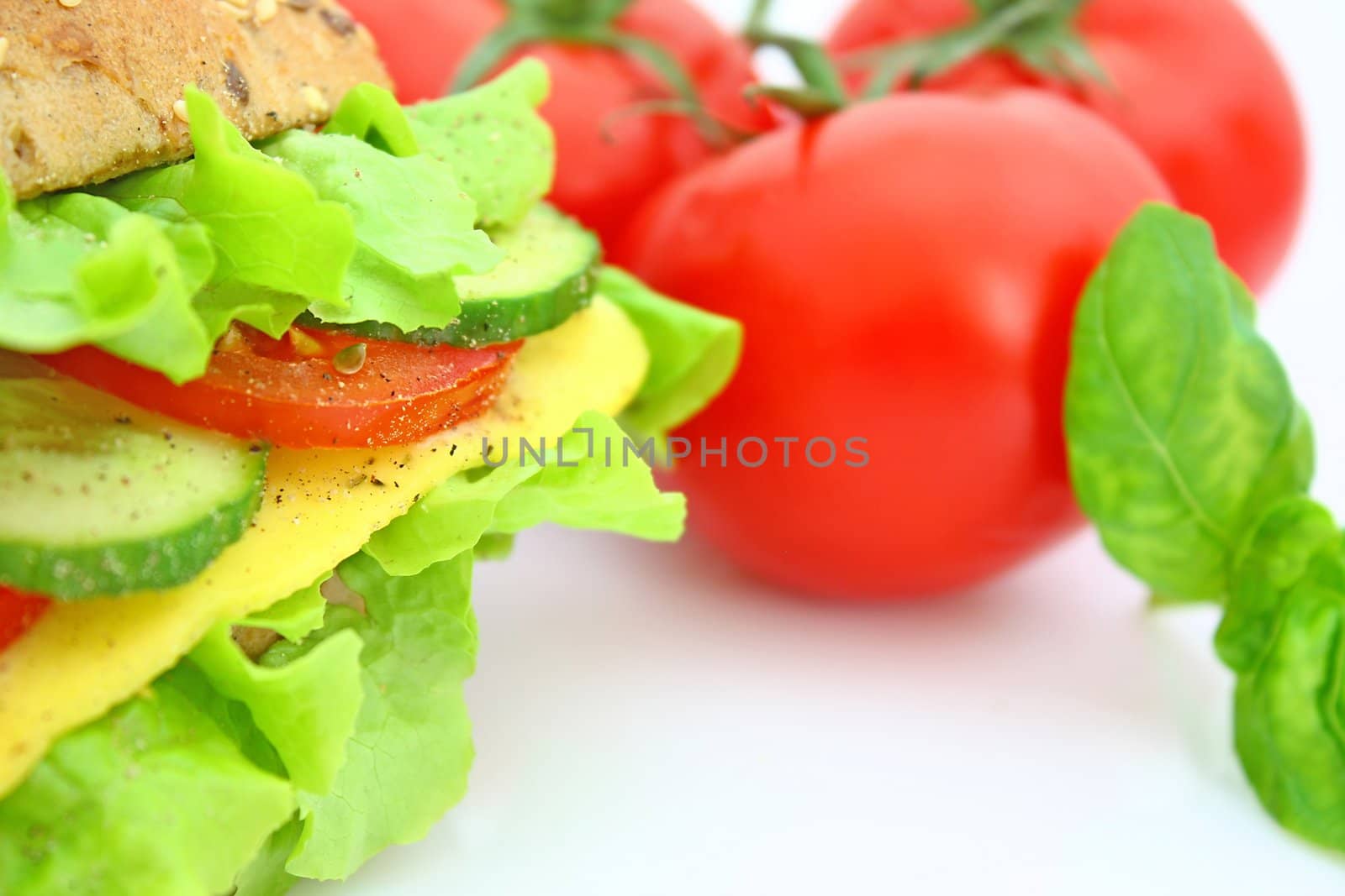 Fresh sandwich with cheese and vegetables