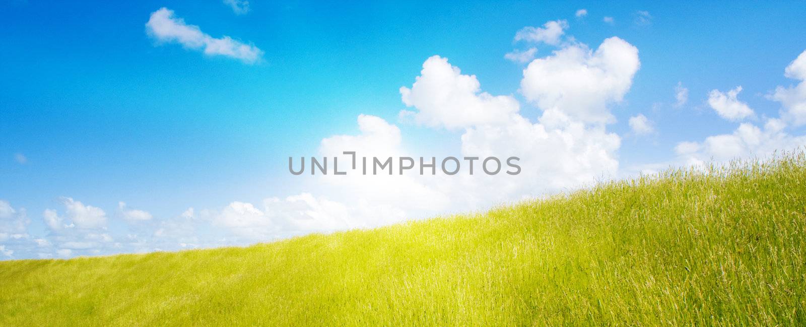 Idyllic lawn with sunlight