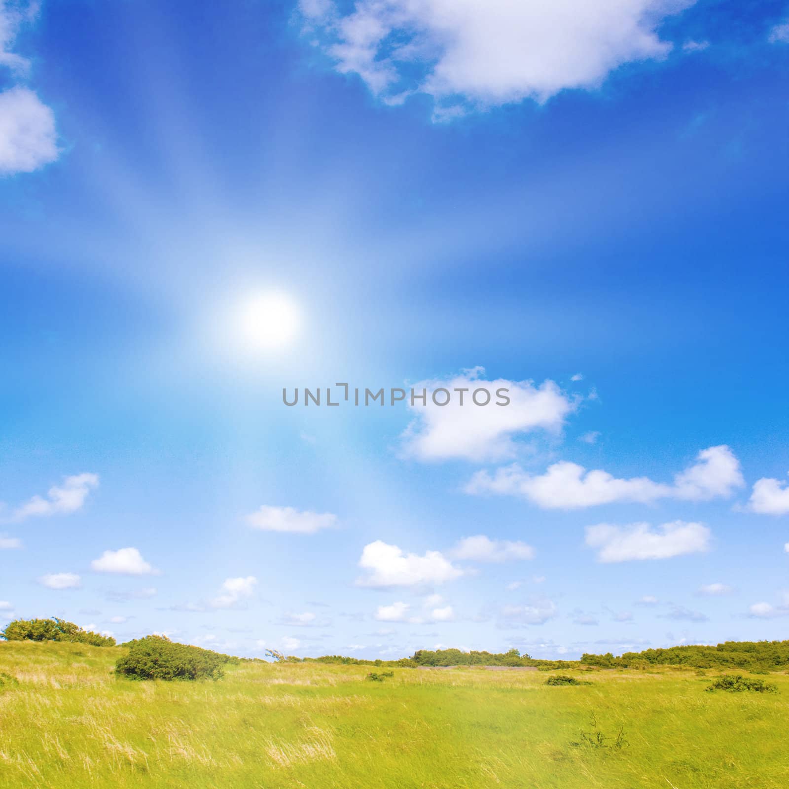 Idyllic lawn with sunlight by juweber