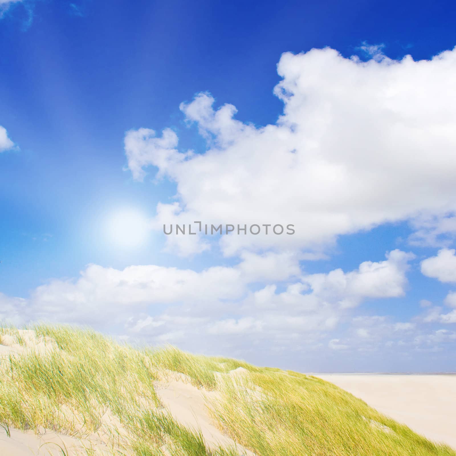 Beautiful day at the North Sea by juweber