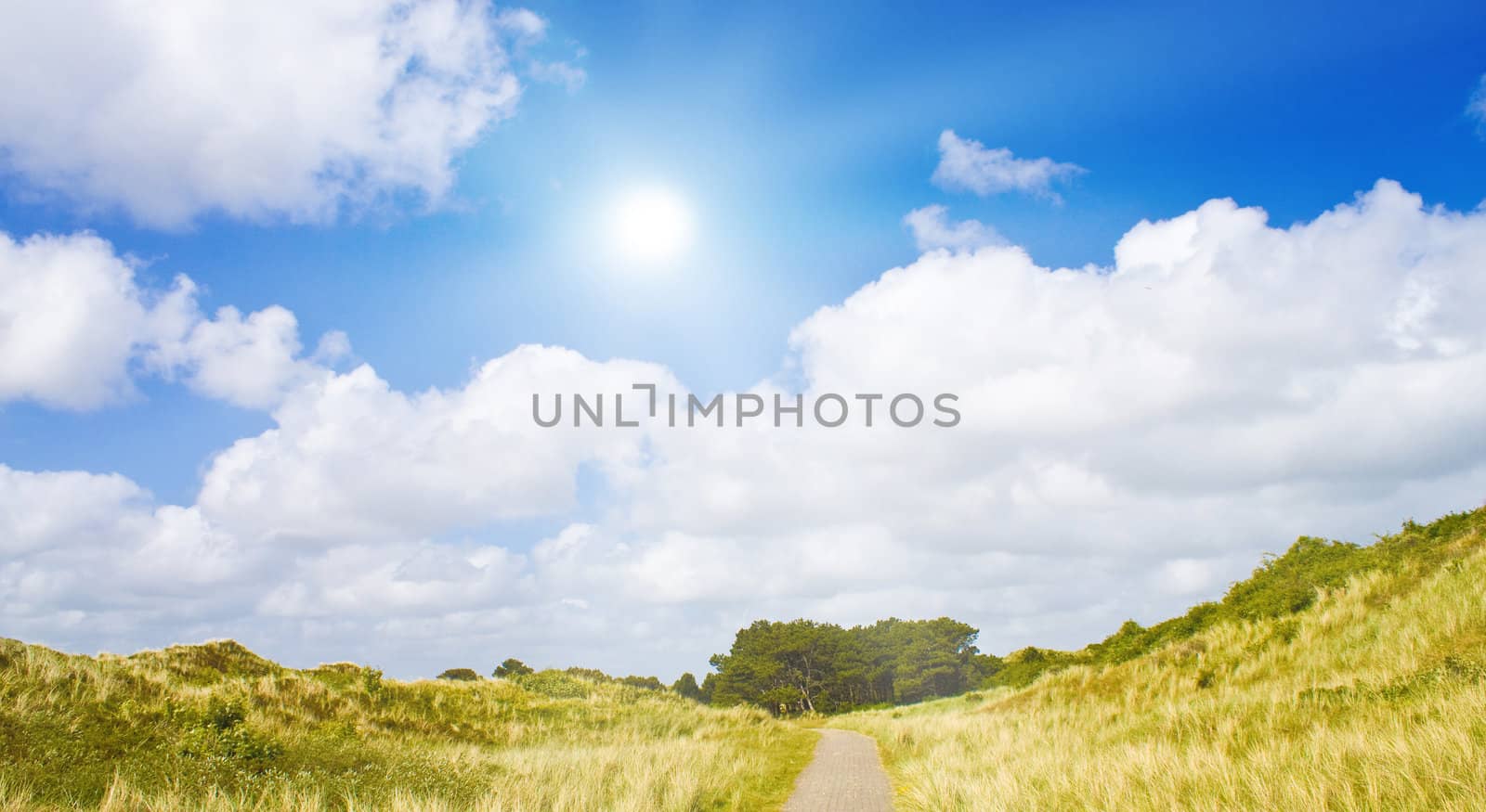 Idyllic dunes with sunlight