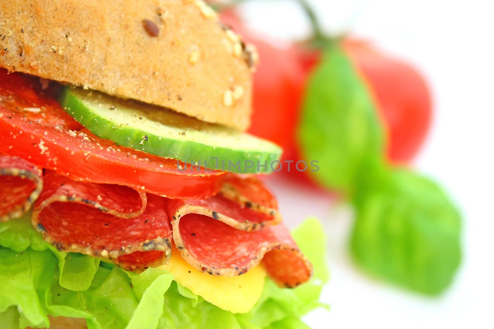 Fresh sandwich with salami cheese and vegetables by juweber