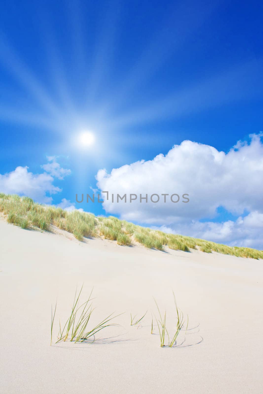 Beach and dunes with beautiful sunlight by juweber