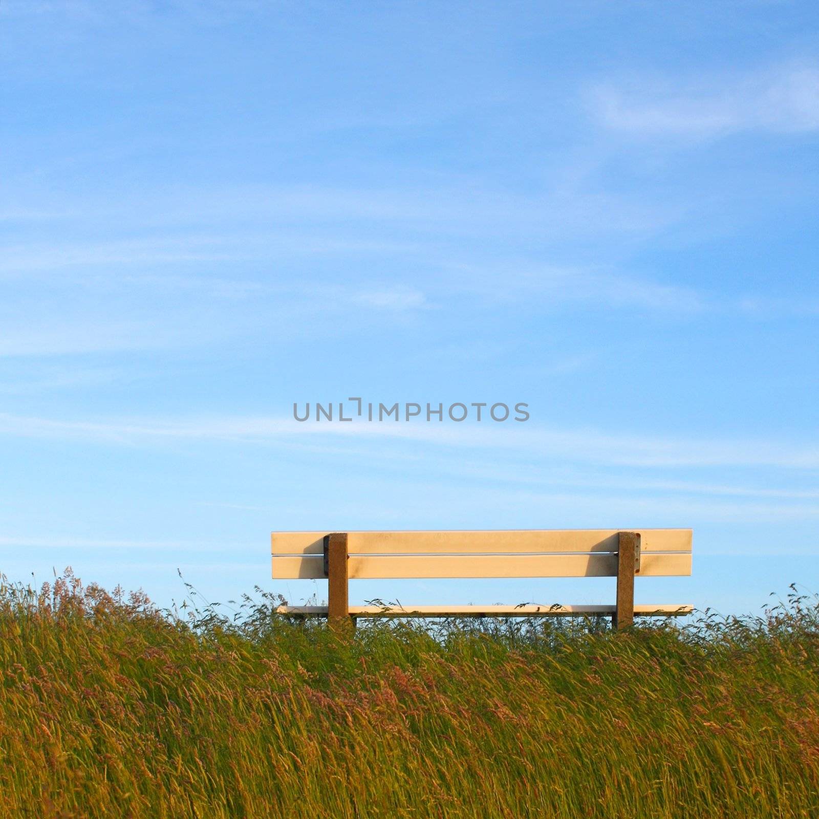 Idyllic lawn with bench