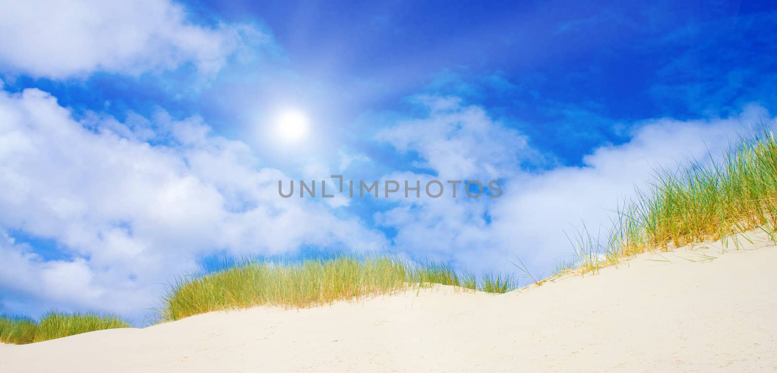 Idyllic dunes with sunlight by juweber