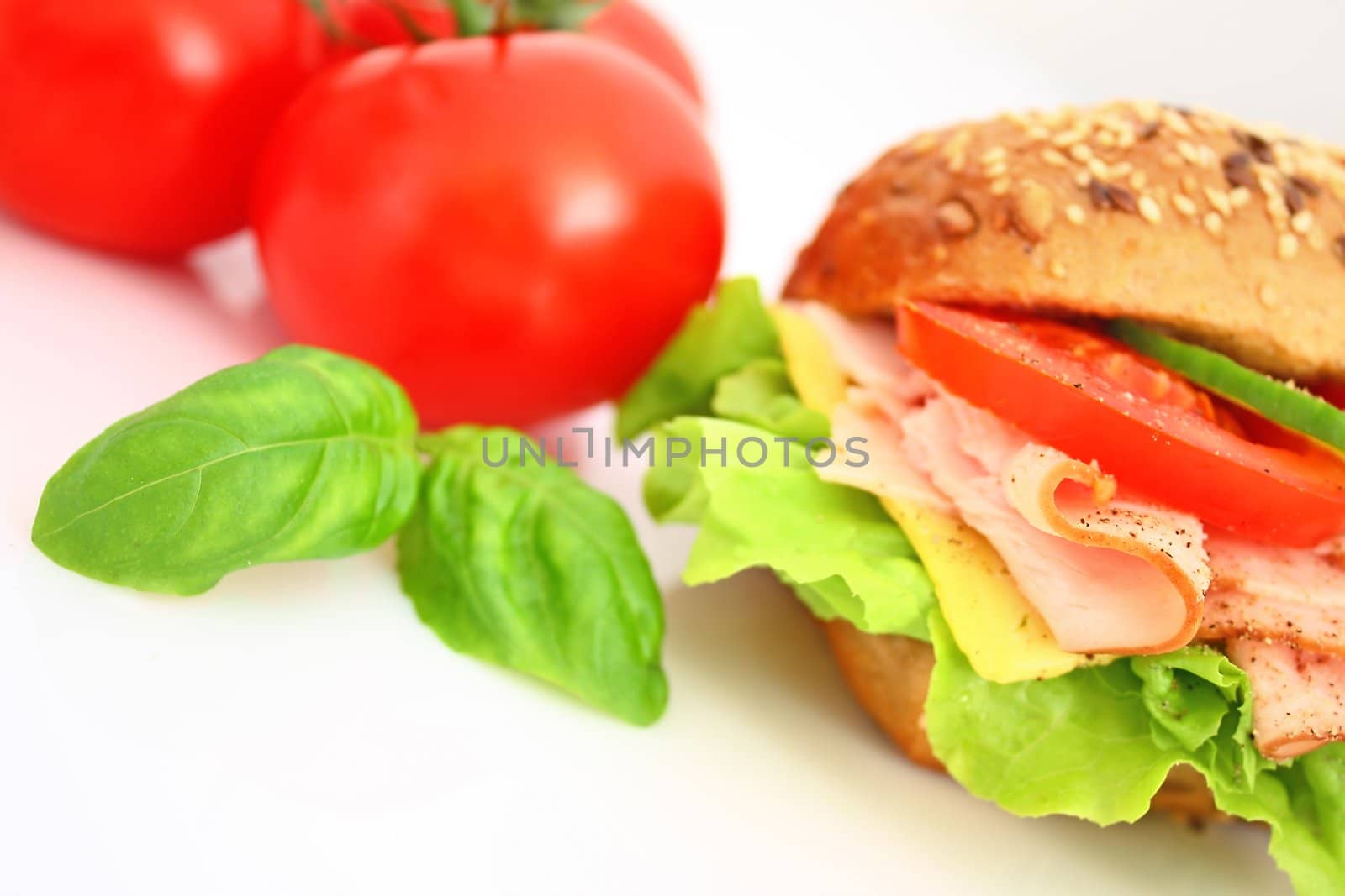 Fresh sandwich with ham and cheese and vegetables