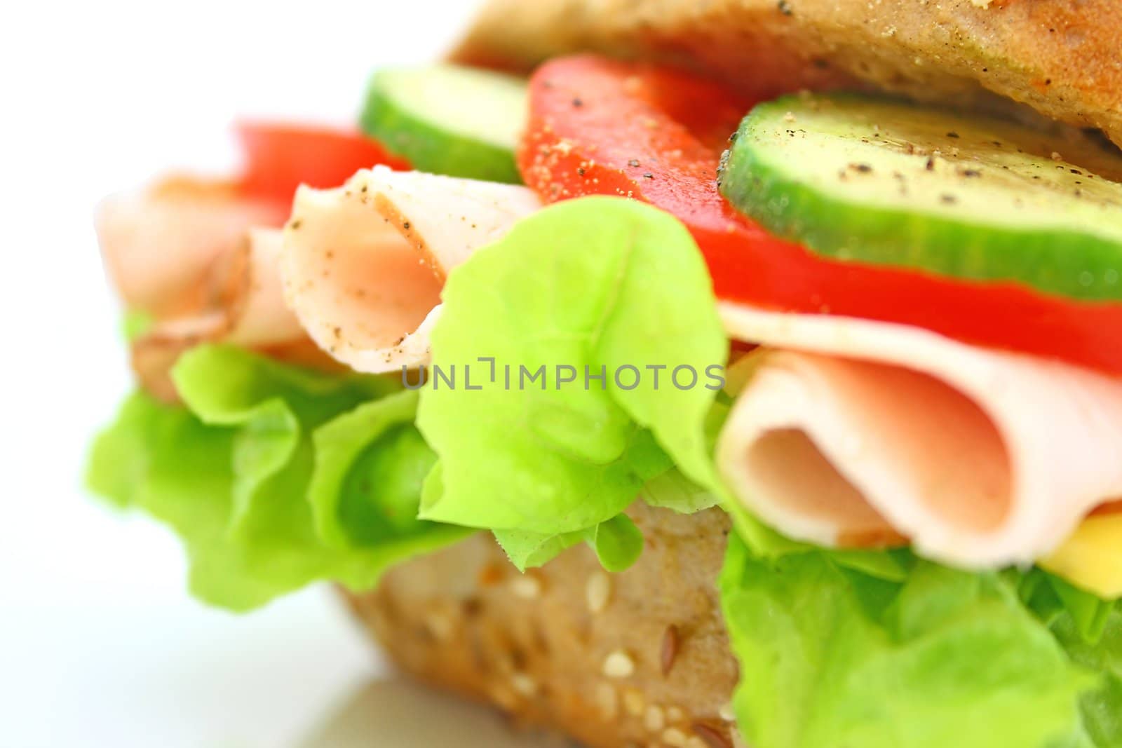 Fresh sandwich with ham and cheese and vegetables