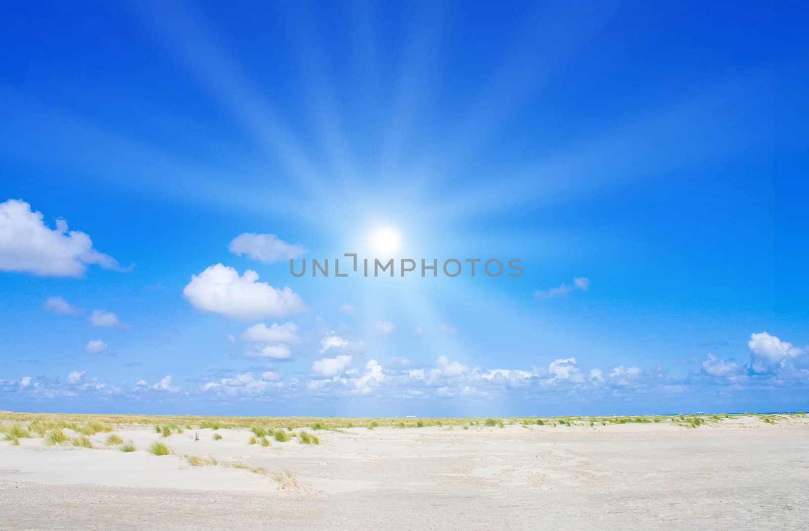 Beach and dunes with beautiful sunlight