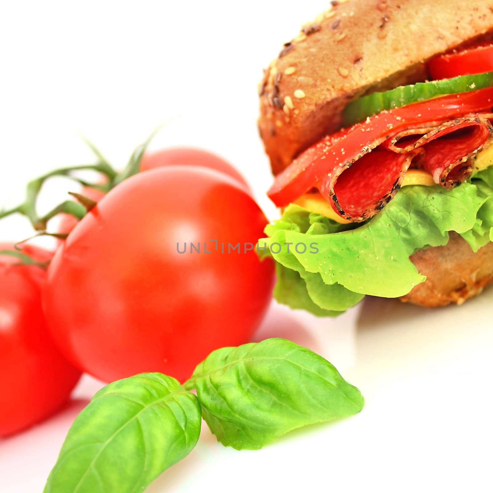 Fresh sandwich with salami cheese and vegetables