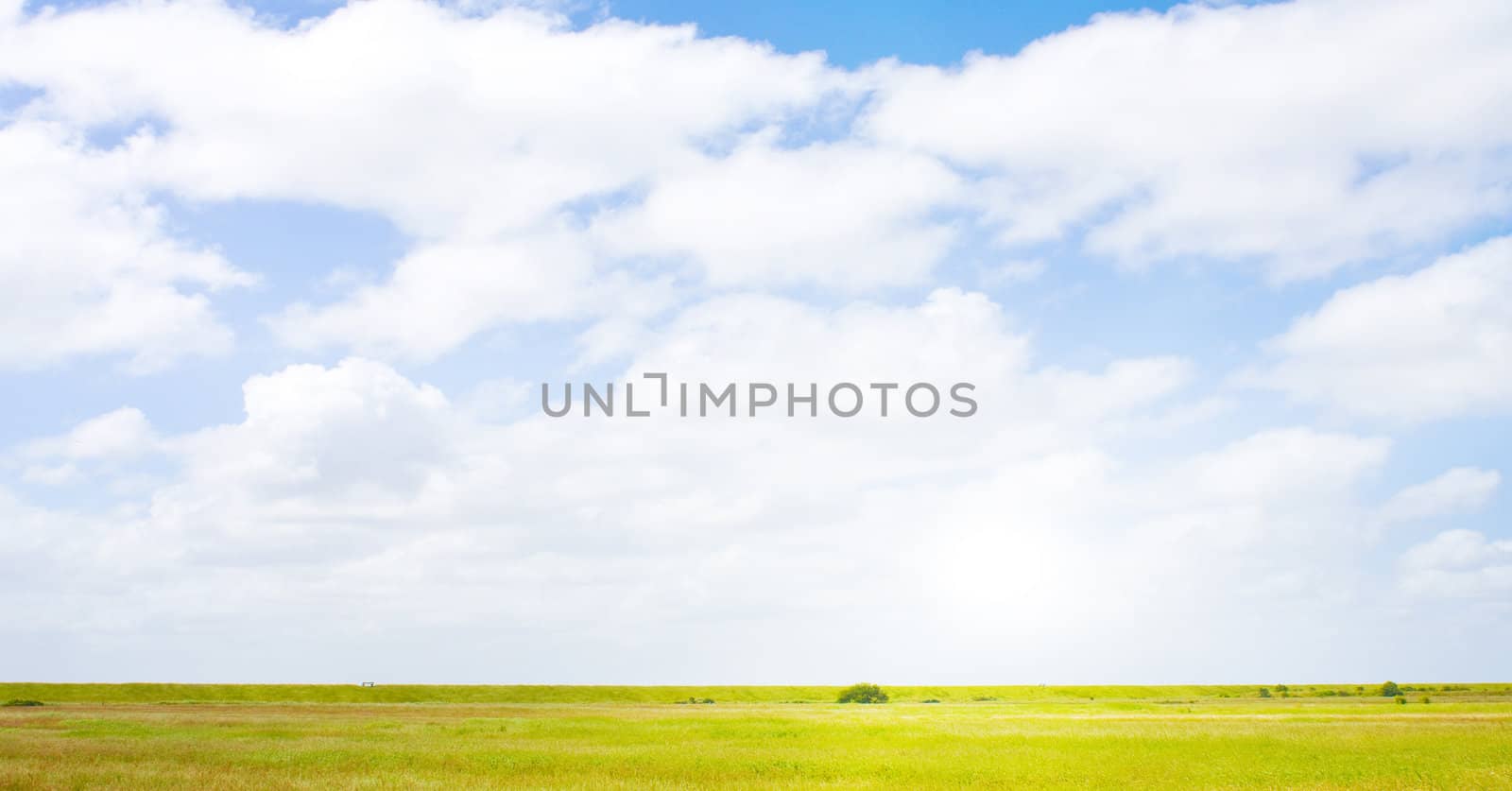 Idyllic lawn with sunlight by juweber