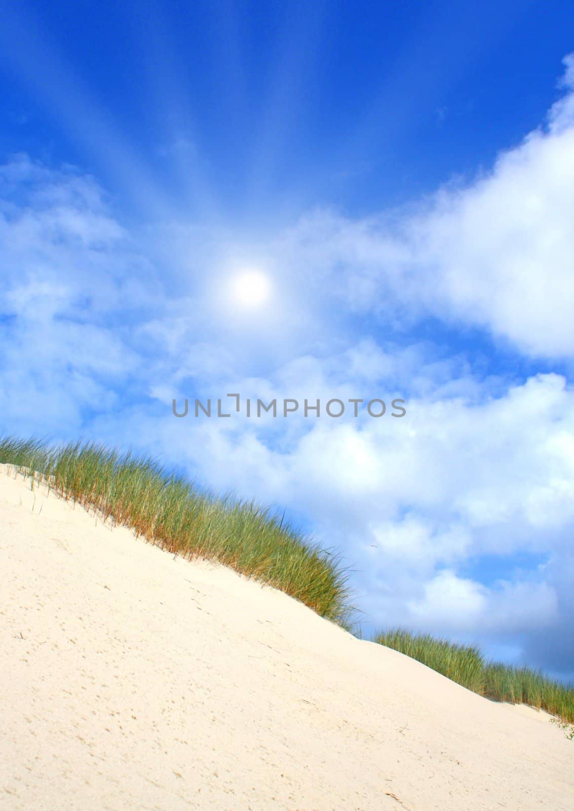 Beach and dunes with beautiful sunlight by juweber