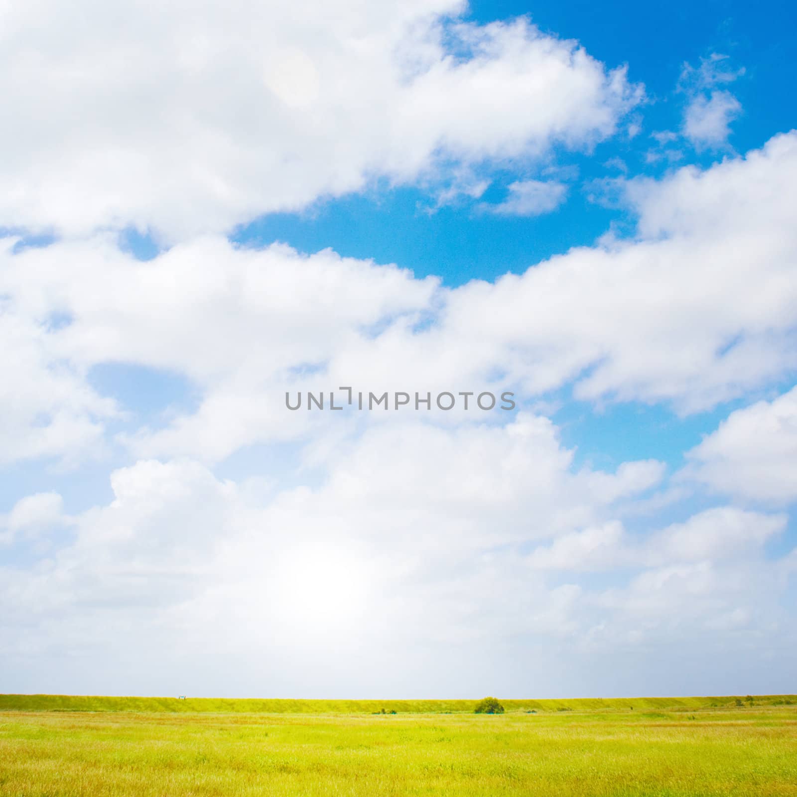 Idyllic lawn with sunlight by juweber